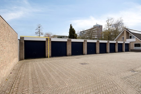 Vijgendam103901slVeenendaalNL-33 - met belijning.jpg